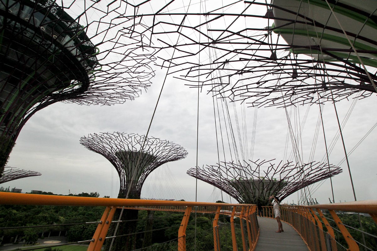 Supertree Grove, Gardens by the Bay, Singapore