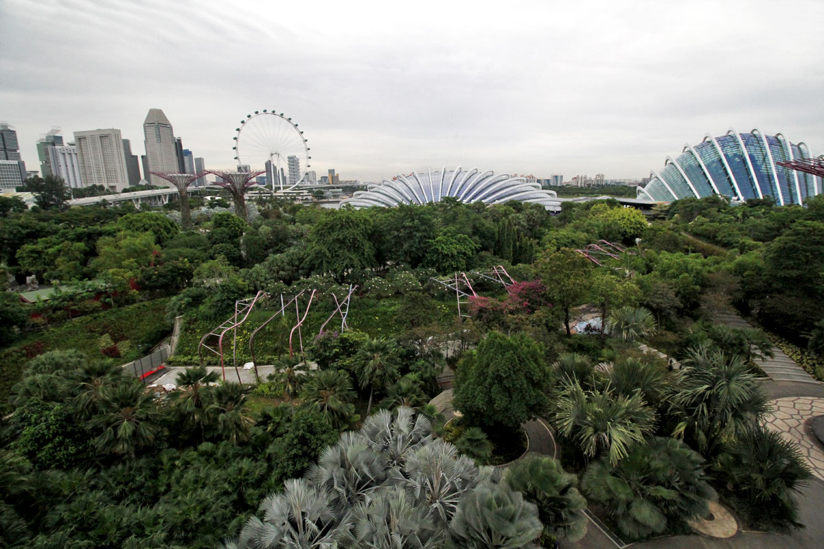 Supertree Grove, Gardens by the Bay, Singapore