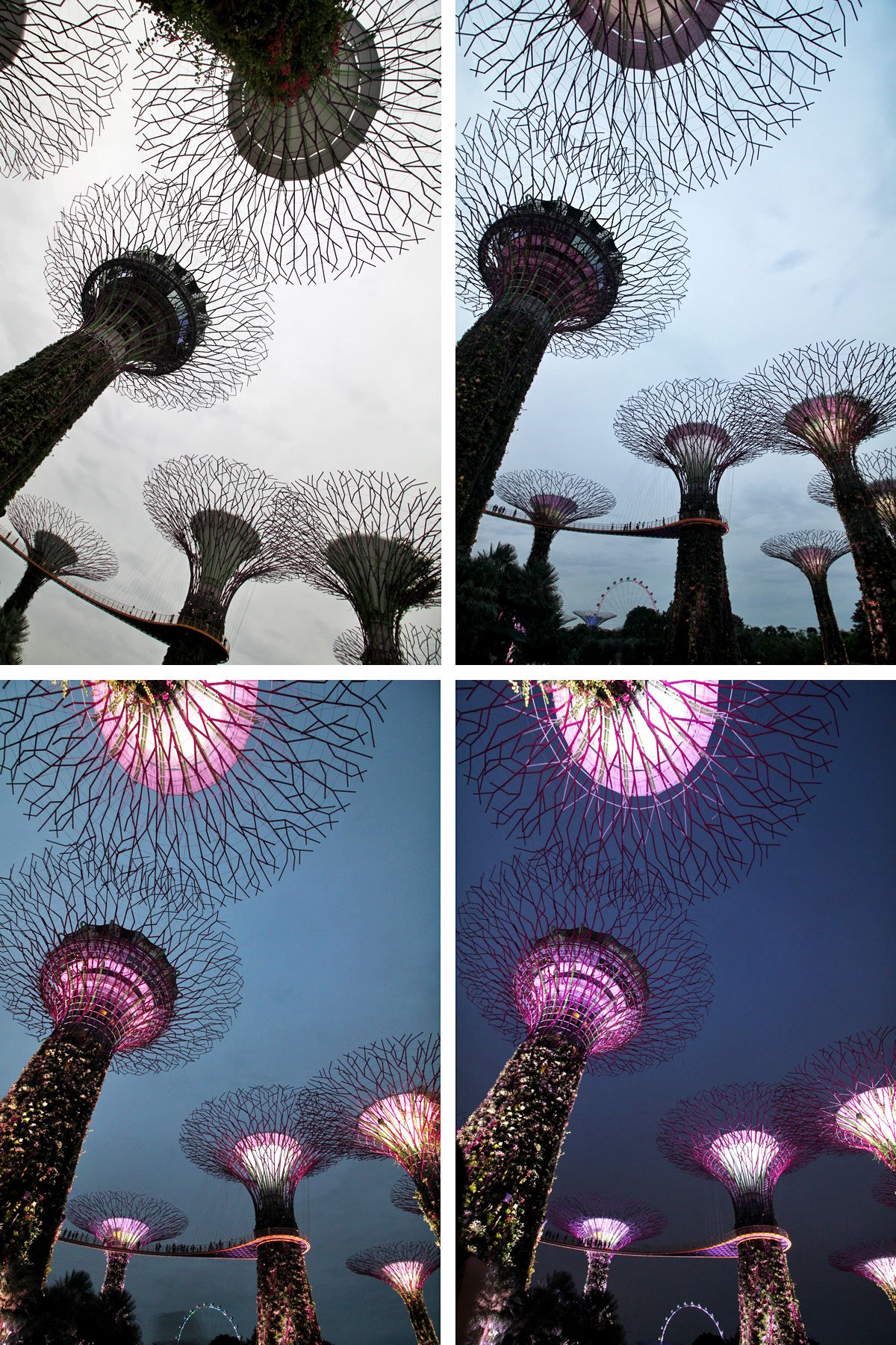 Supertree Grove, Gardens by the Bay, Singapore