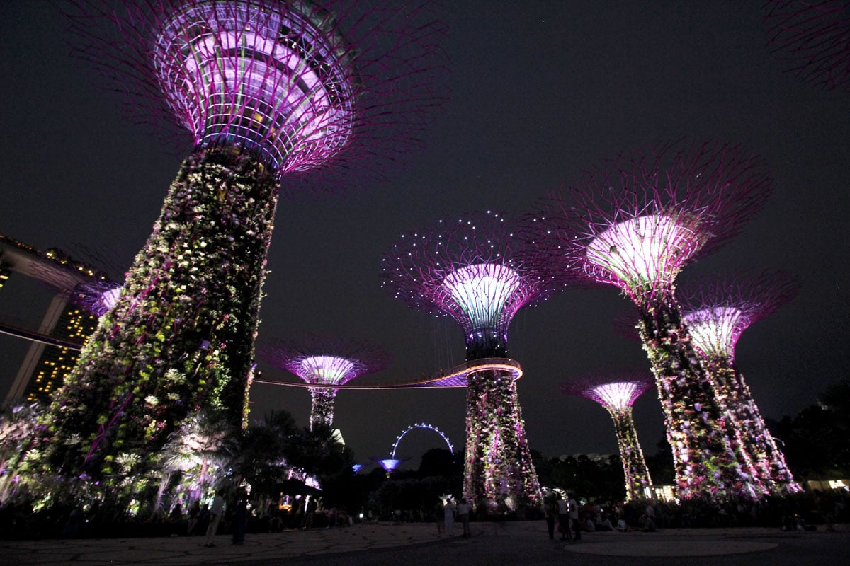 Supertree Grove A Perfect Balance Between Nature And Technology At Gardens By The Bay In Singapore Will Fly For Food