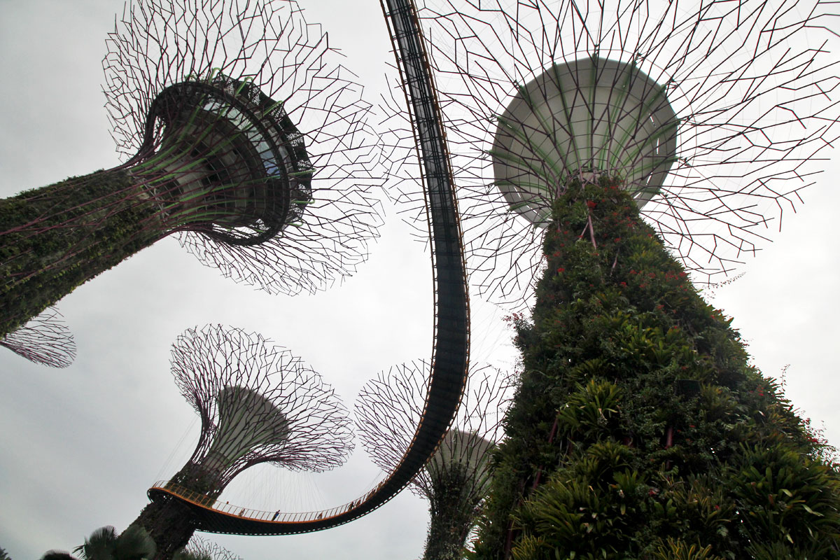 Supertree Grove, Gardens by the Bay, Singapore