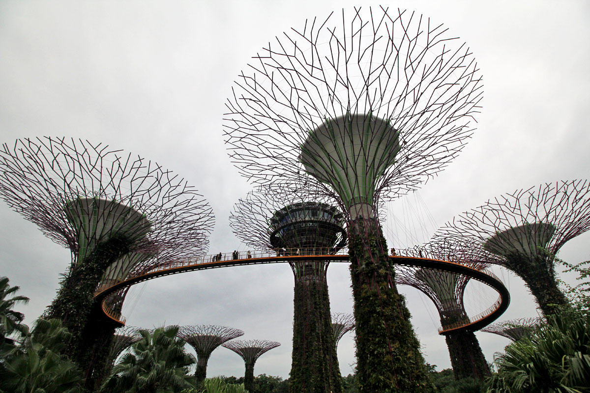 Supertree Grove, Gardens by the Bay, Singapore