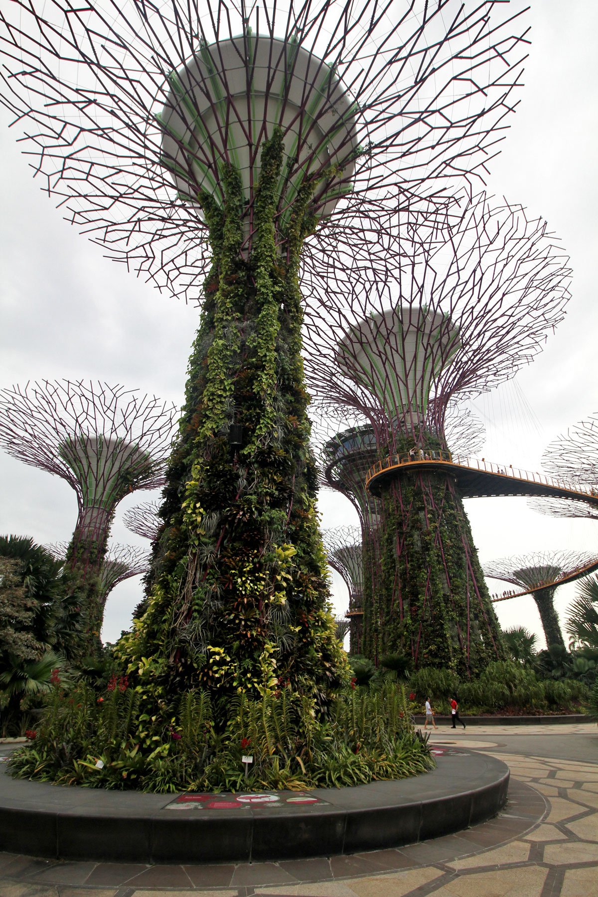 Supertree Grove, Gardens by the Bay, Singapore