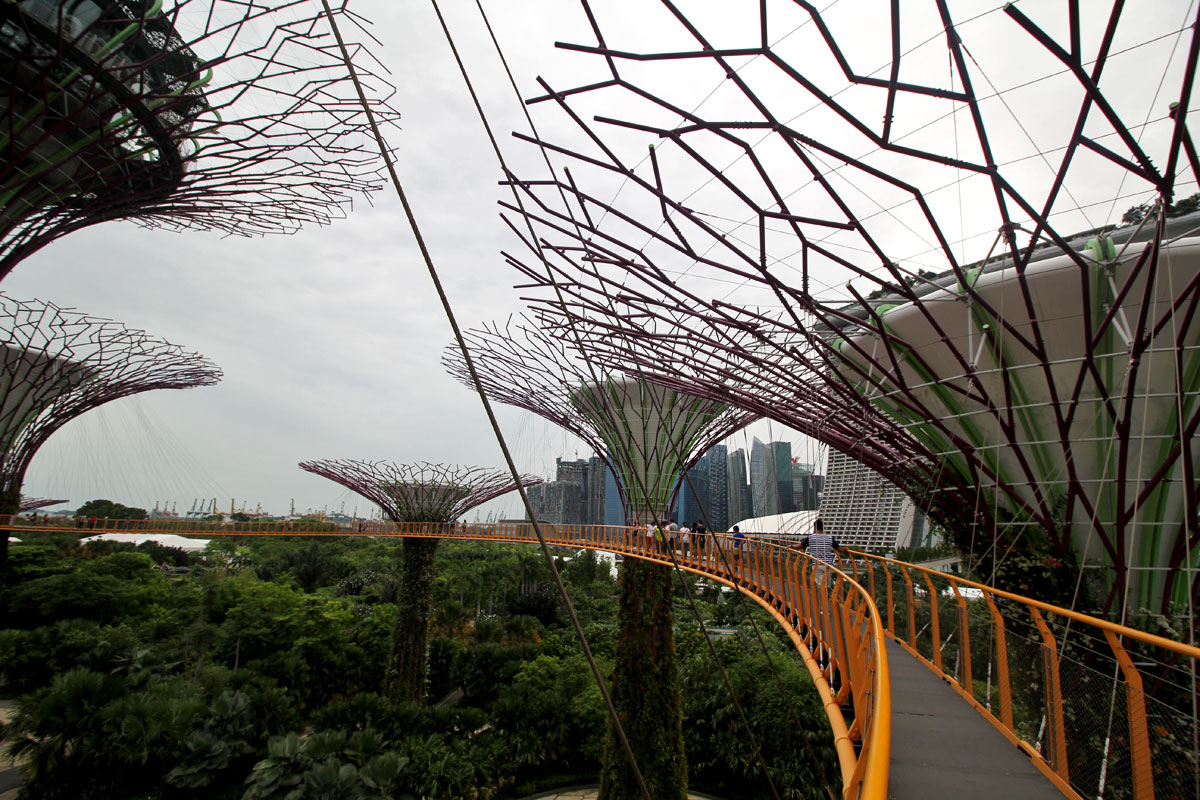 Supertree Grove, Gardens by the Bay, Singapore