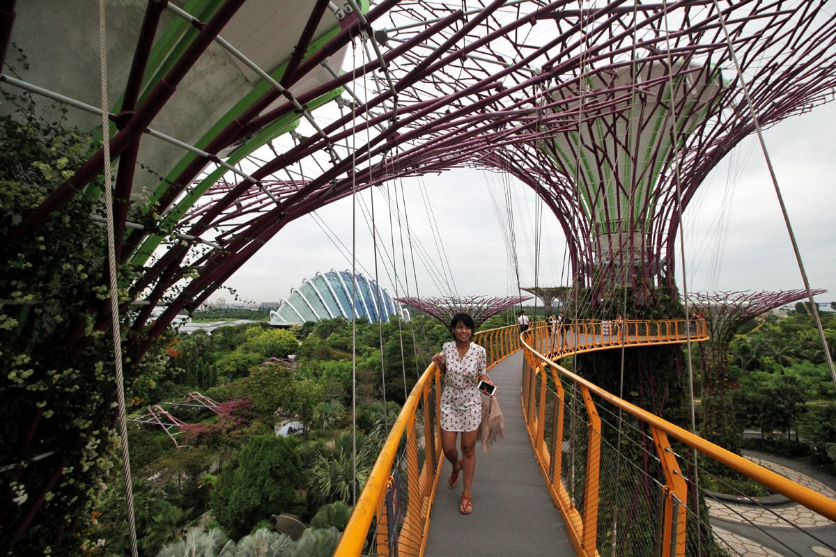 Supertree Grove, Gardens by the Bay, Singapore