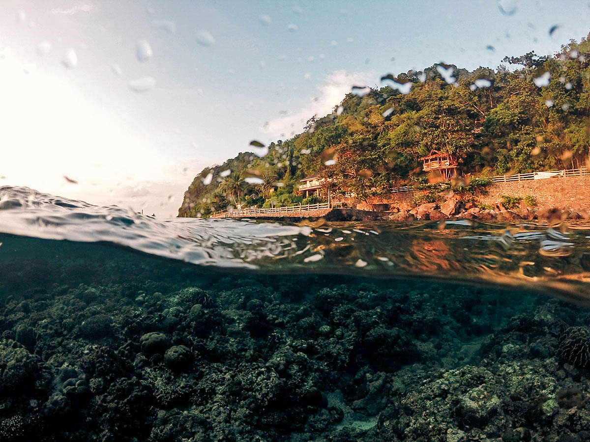 Cozy Reef: Your Own Mini Dive Resort in Anilao, Batangas, Philippines