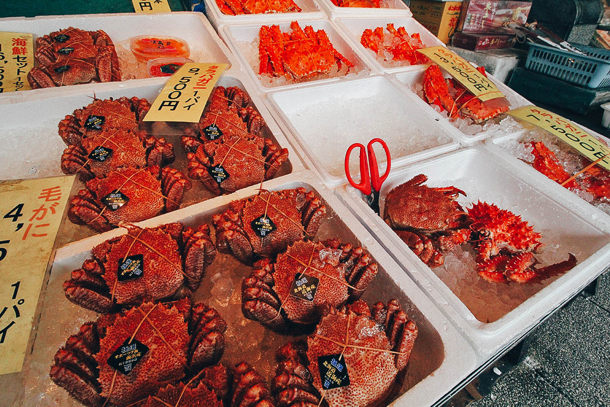 Nijo Market: Where it Sucks to be a Crab in Sapporo, Japan