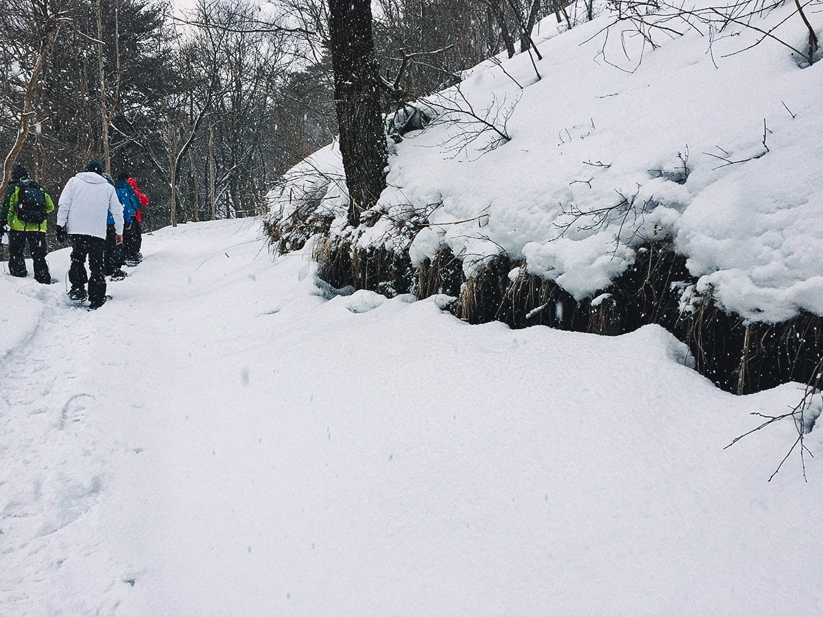 Snowshoe Walking to a Volcano's Crater in Toyooka, Hyōgo, Japan