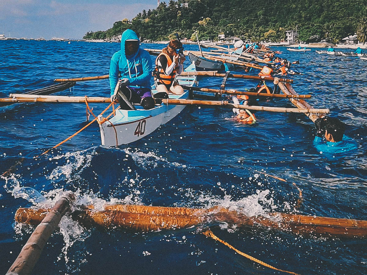 Oslob Tour from Cebu: Whale Shark Watching, Tumalog Falls, and Oslob Church