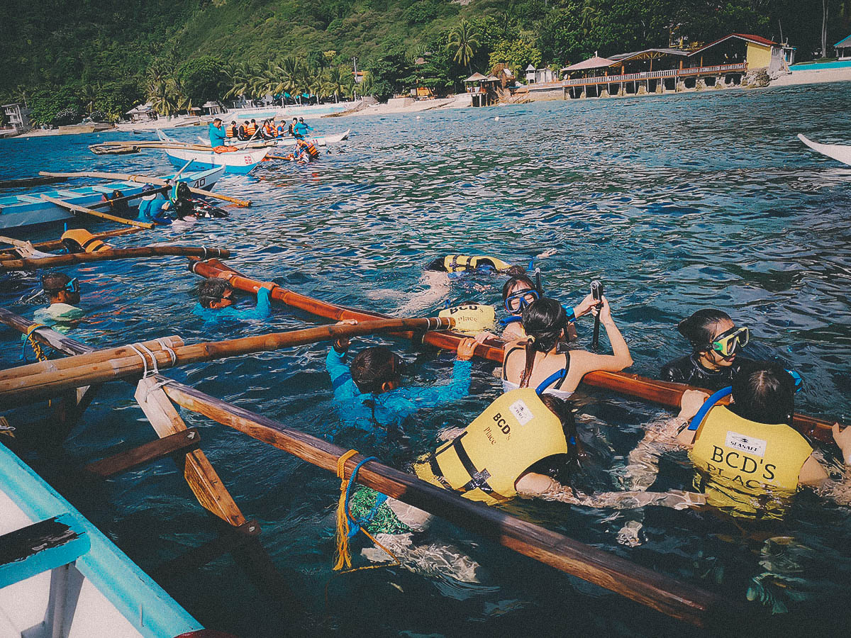 Oslob Tour from Cebu: Whale Shark Watching, Tumalog Falls, and Oslob Church