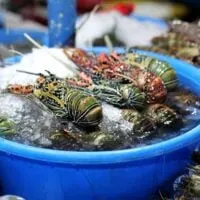 Farmer's Market, Cubao, Quezon City