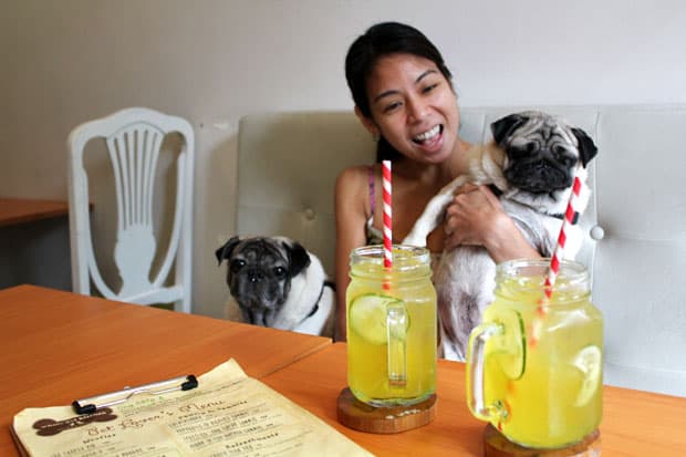 Sunday Brunch at Whole Pet Kitchen, the Country’s First Pet Deli & Bark-ery!