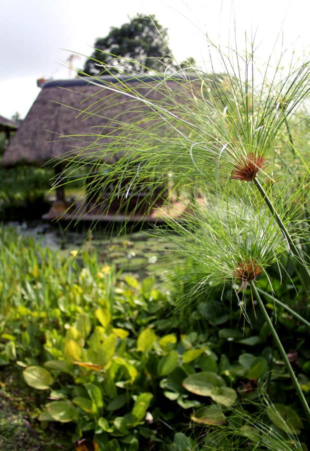 Moon Garden: Where to Stay in Tagaytay, Cavite