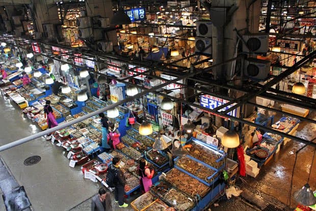 Braving Sannakji at Noryangjin Fish Market, Seoul, South Korea