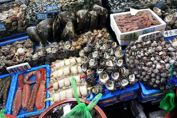 Braving Sannakji at Noryangjin Fish Market, Seoul, South Korea