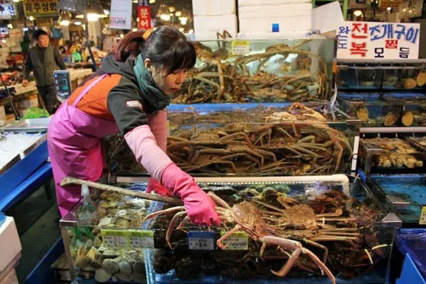 Braving Sannakji at Noryangjin Fish Market, Seoul, South Korea