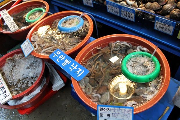 Braving Sannakji at Noryangjin Fish Market, Seoul, South Korea