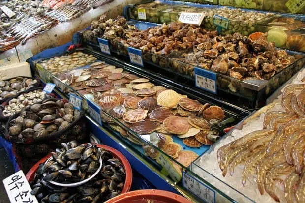 Braving Sannakji at Noryangjin Fish Market, Seoul, South Korea