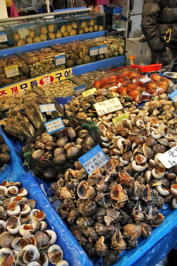 Braving Sannakji at Noryangjin Fish Market, Seoul, South Korea