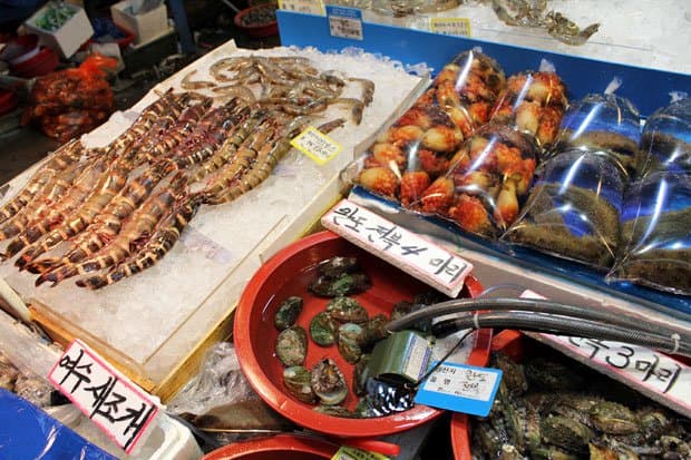 Braving Sannakji at Noryangjin Fish Market, Seoul, South Korea