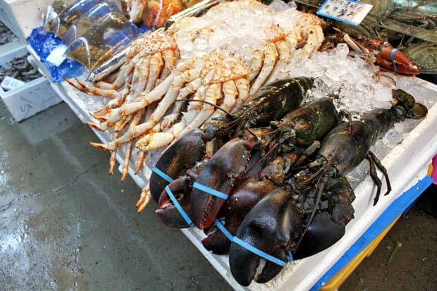 Braving Sannakji at Noryangjin Fish Market, Seoul, South Korea