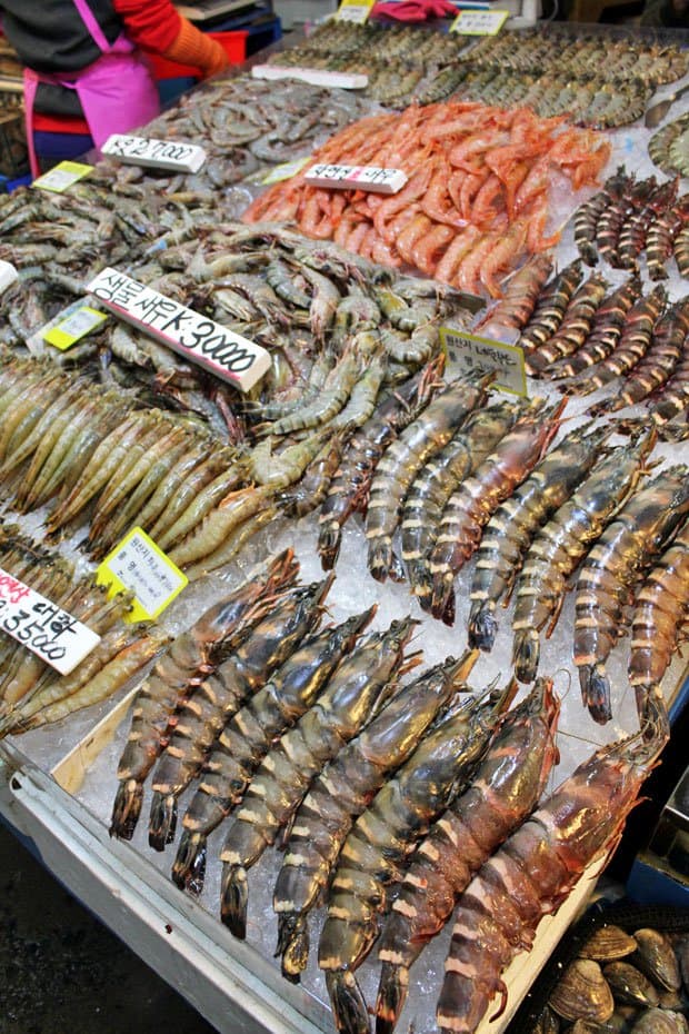 Braving Sannakji at Noryangjin Fish Market, Seoul, South Korea