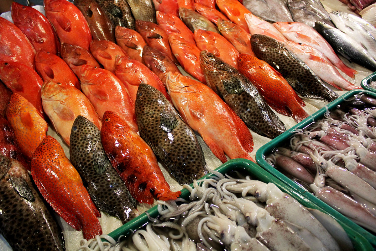 Fish Tank to Table Dining at the Seaside Market on Macapagal Boulevard