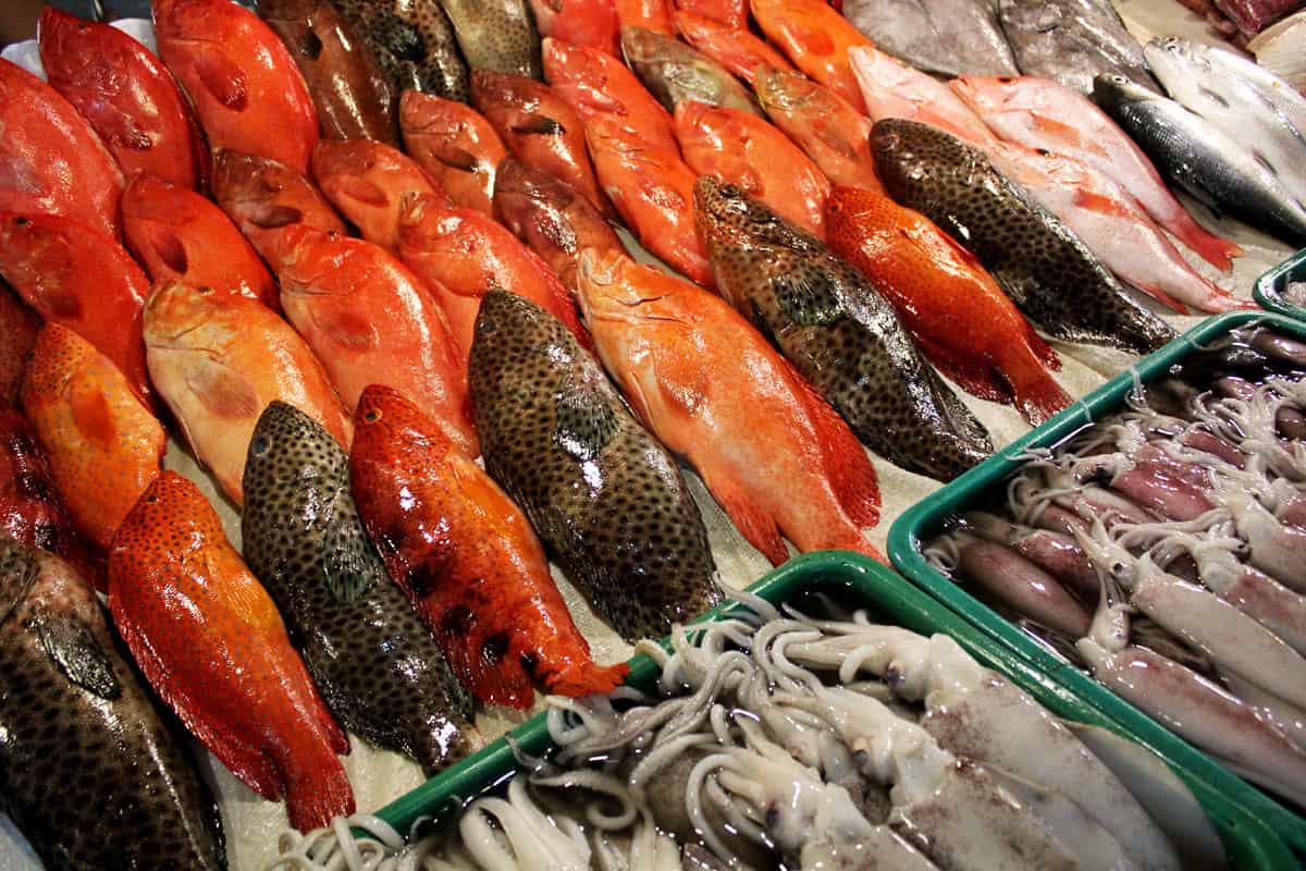 Fish Tank To Table Dining At The Seaside Market On Macapagal Boulevard Will Fly For Food Fish Tank To Table Dining At The Seaside Market On Macapagal Boulevard Will Fly For Food