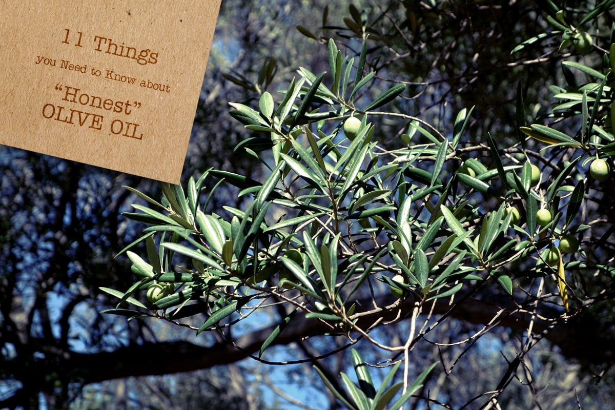 11 Things You Need to Know about “Honest” Olive Oil