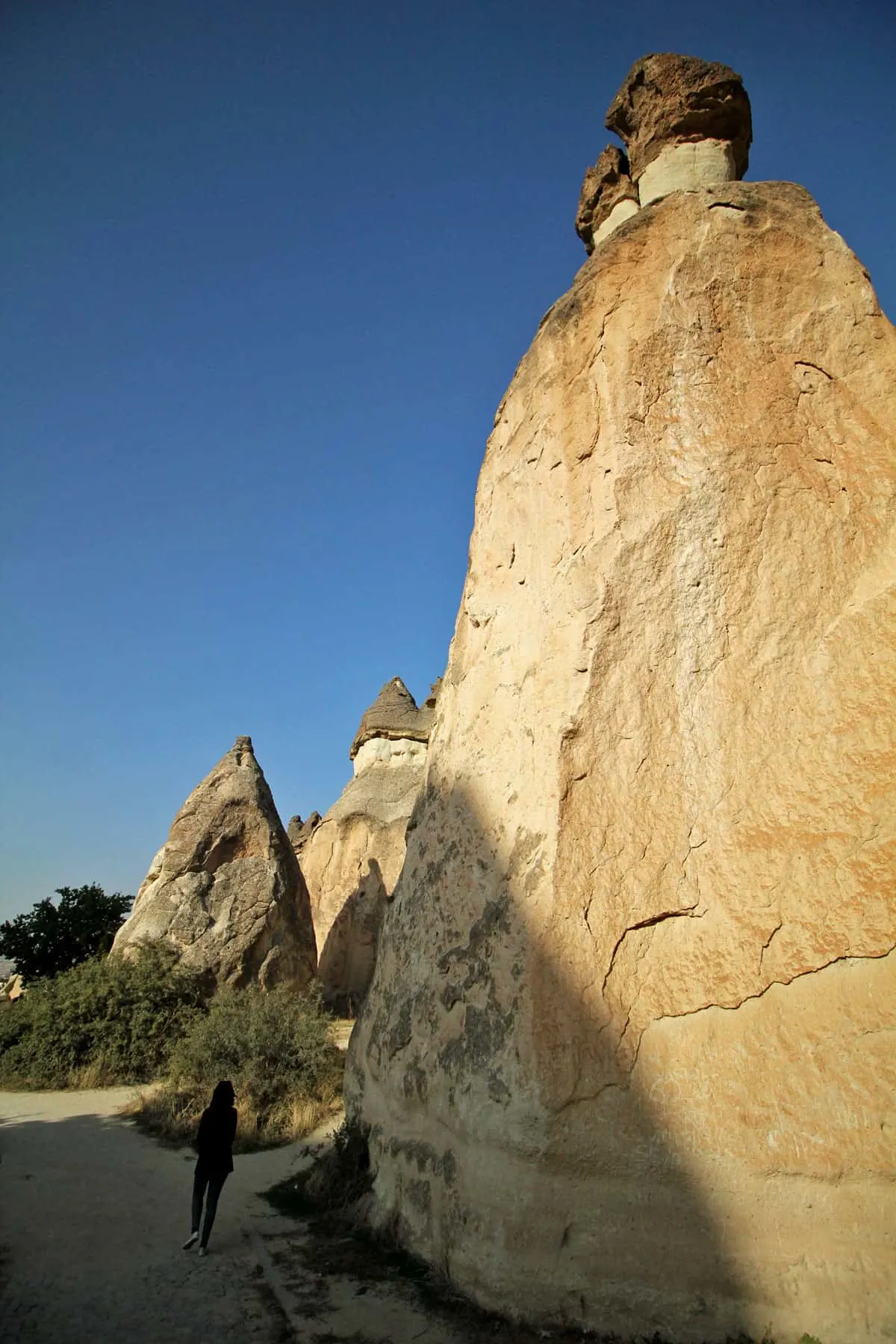 Cappadocia Highlights (Red Tour) with Bridge of the World