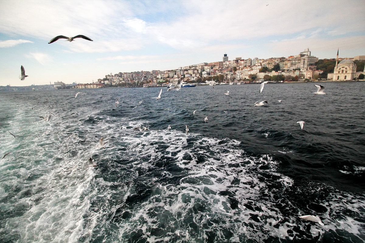 Take a Cruise on the Bosphorus with Şehir Hatları in Istanbul, Turkey