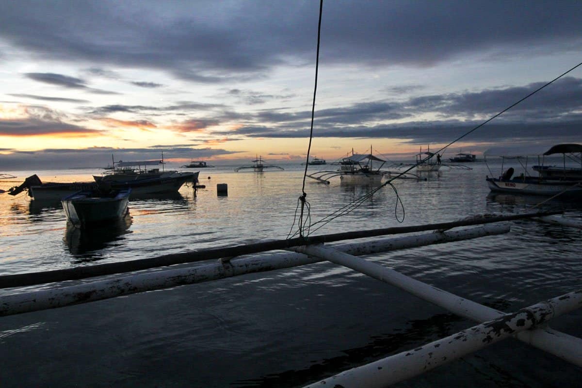 On Chasing Dolphins and Turtles and a Virgin Island Seafood Bar in Bohol, the Philippines