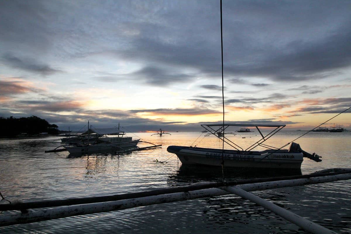 On Chasing Dolphins and Turtles and a Virgin Island Seafood Bar in Bohol, the Philippines