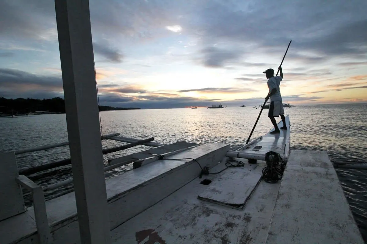 On Chasing Dolphins and Turtles and a Virgin Island Seafood Bar in Bohol, the Philippines