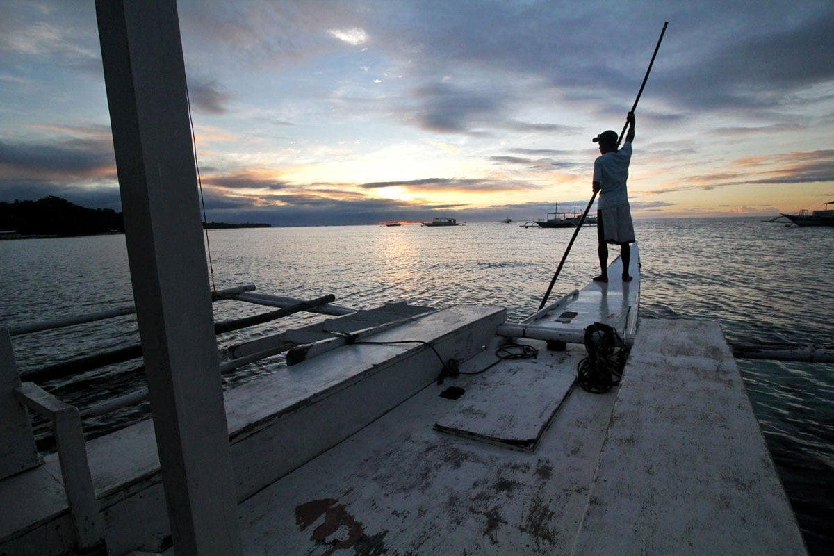 On Chasing Dolphins, Turtles, and a Pop-up Seafood Bar in Bohol, the Philippines