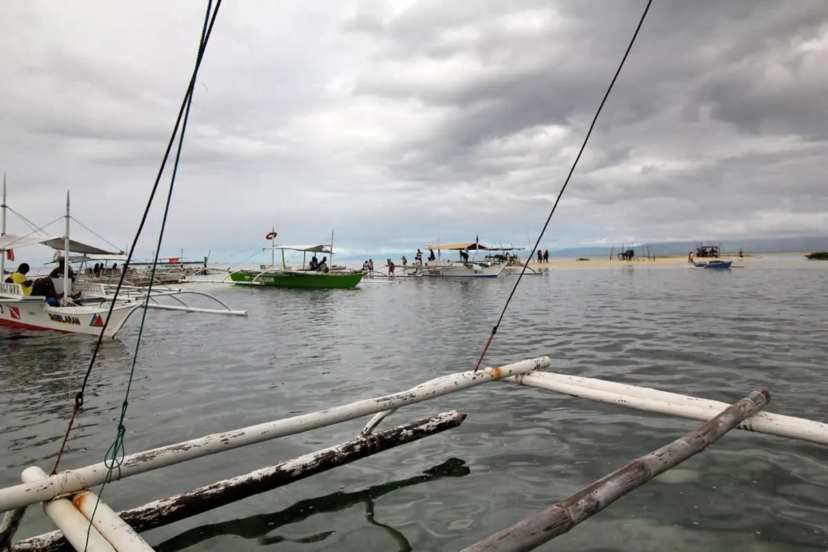 On Chasing Dolphins and Turtles and a Virgin Island Seafood Bar in Bohol, the Philippines