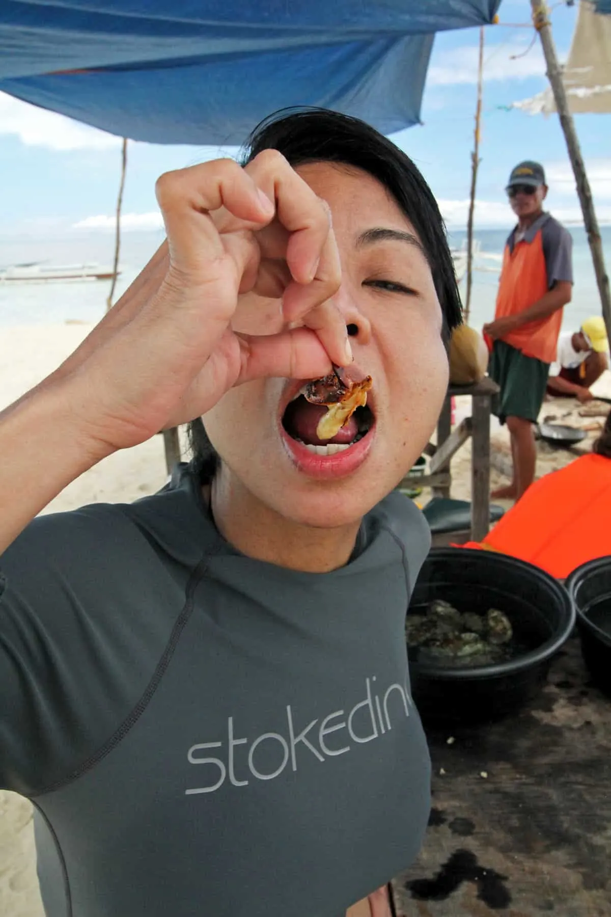 On Chasing Dolphins and Turtles and a Virgin Island Seafood Bar in Bohol, the Philippines