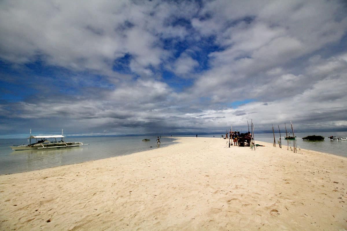 On Chasing Dolphins and Turtles and a Virgin Island Seafood Bar in Bohol, the Philippines