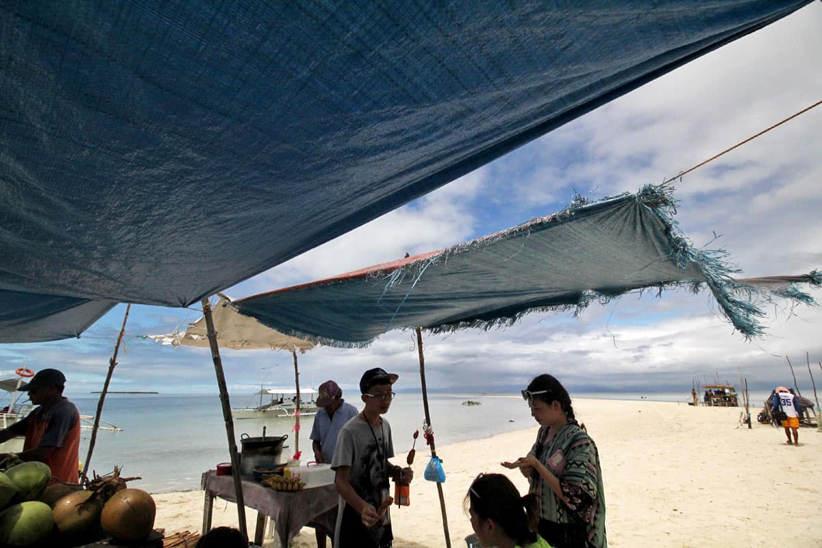 On Chasing Dolphins and Turtles and a Virgin Island Seafood Bar in Bohol, the Philippines