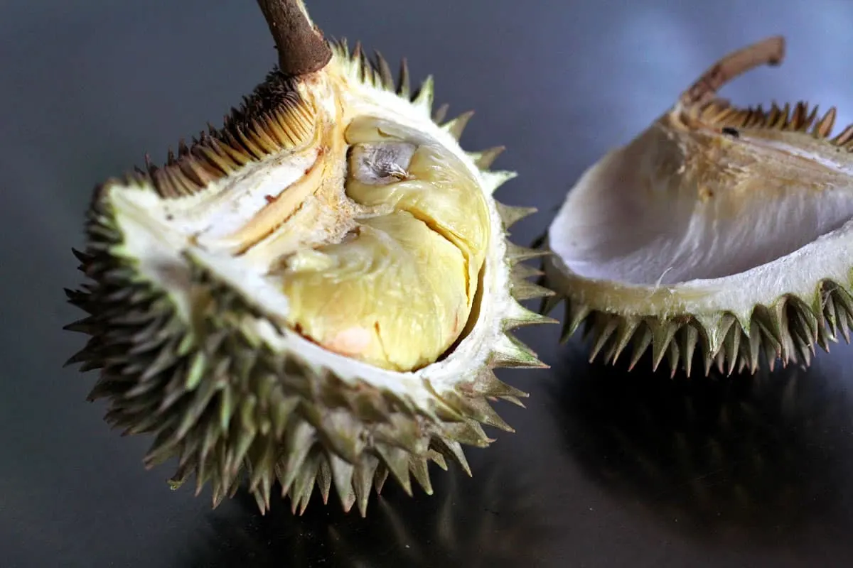 Open durian, a stinky but tasty fruit in Singapore!