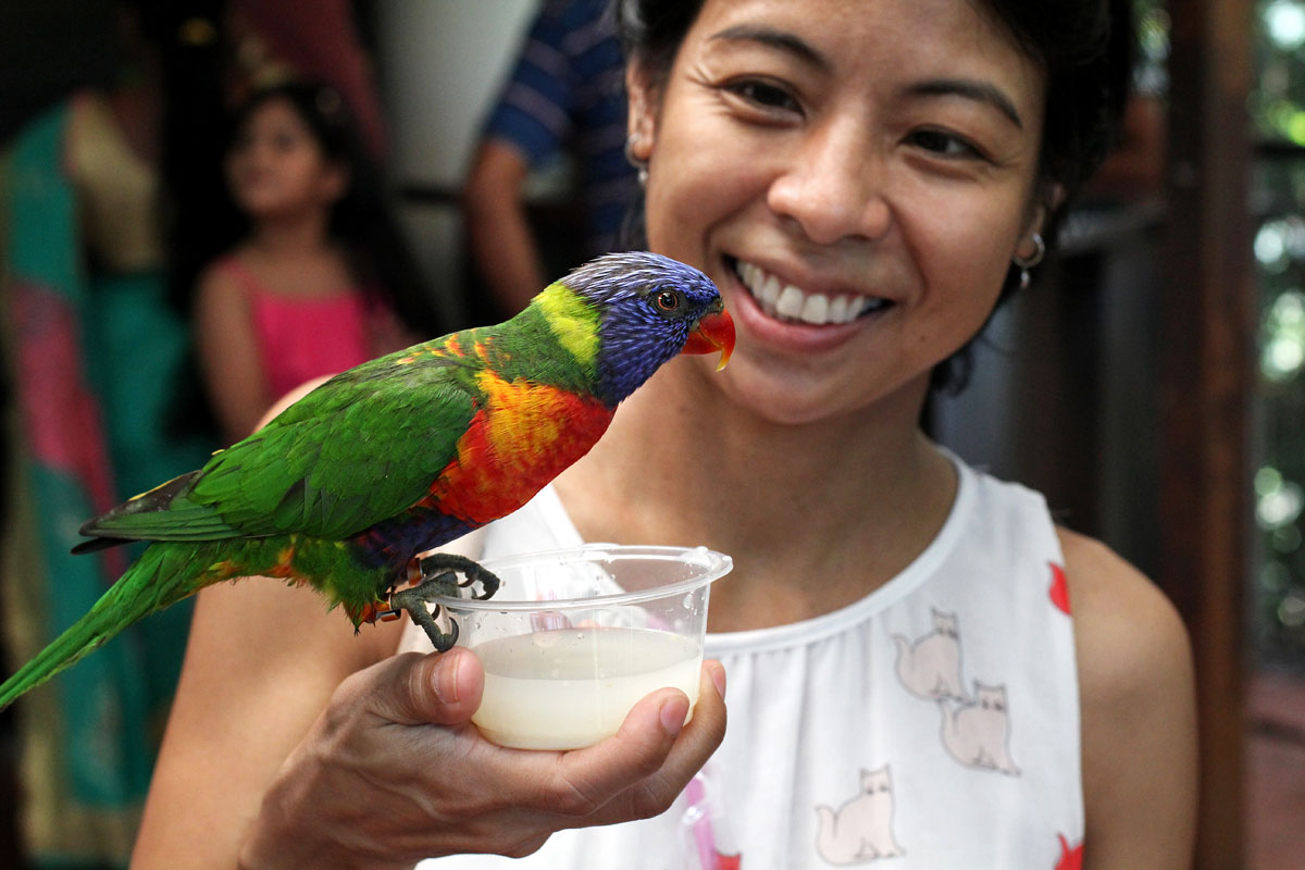 Go Birding at Jurong Bird Park in Singapore