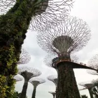 Get Super Funky at Supertree Grove, Gardens by the Bay, Singapore