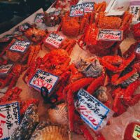 Nijo Market: Where it Sucks to be a Crab in Sapporo, Japan