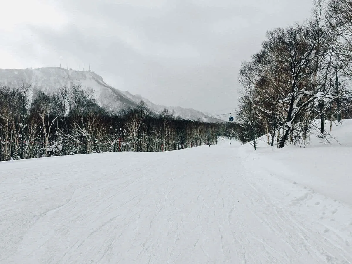 Sapporo Teine: Where to Go Skiing Near Sapporo