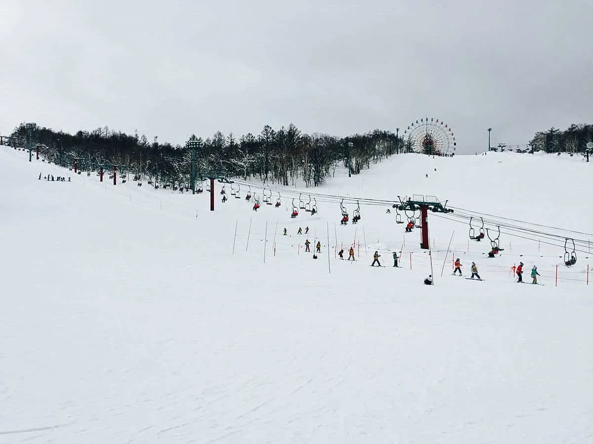 Sapporo Teine: Where to Go Skiing Near Sapporo