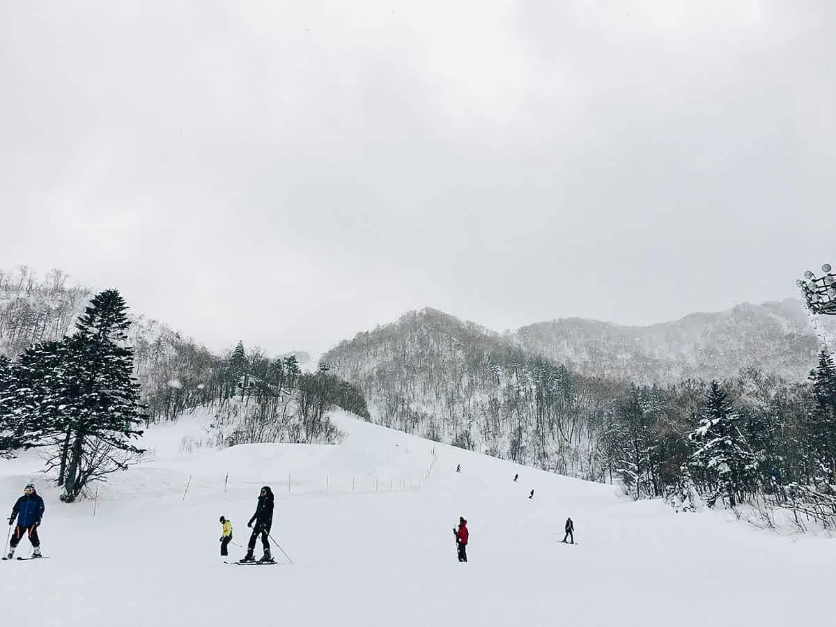 Sapporo Teine: Where to Go Skiing Near Sapporo