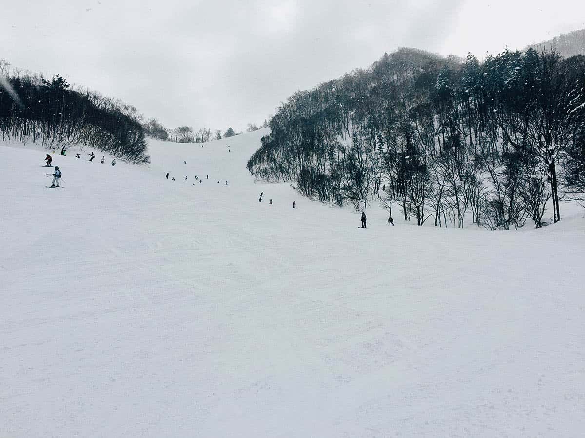 Sapporo Teine: Where to Go Skiing Near Sapporo