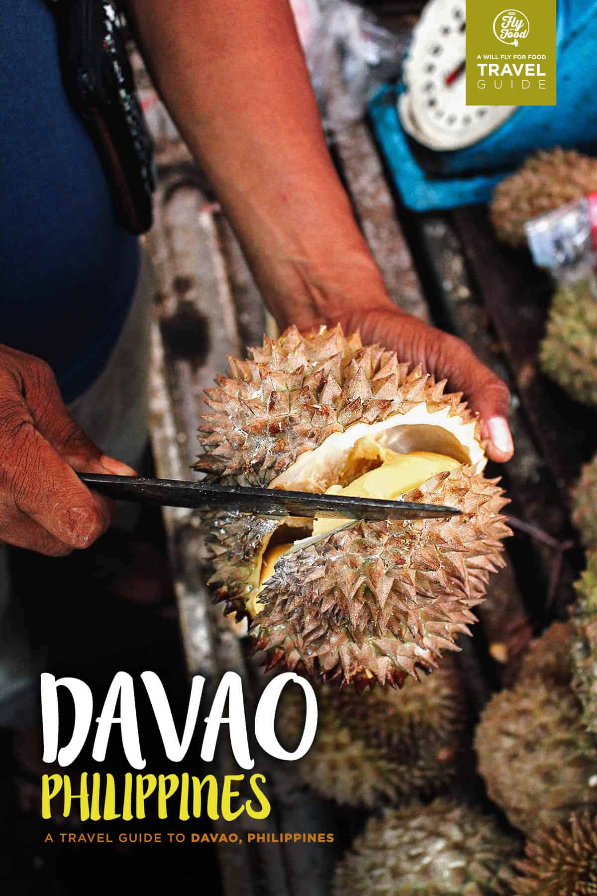 davao city tour guide