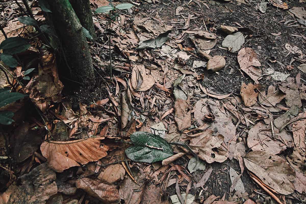 Cu Chi Tunnels: Crawling through Two Decades of War in Ho Chi Minh City, Vietnam