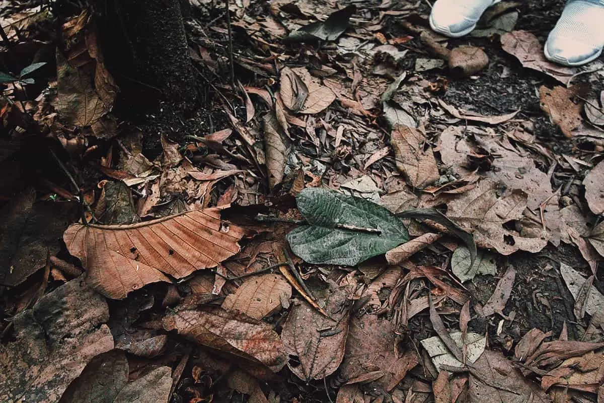 Cu Chi Tunnels: Crawling through Two Decades of War in Ho Chi Minh City, Vietnam